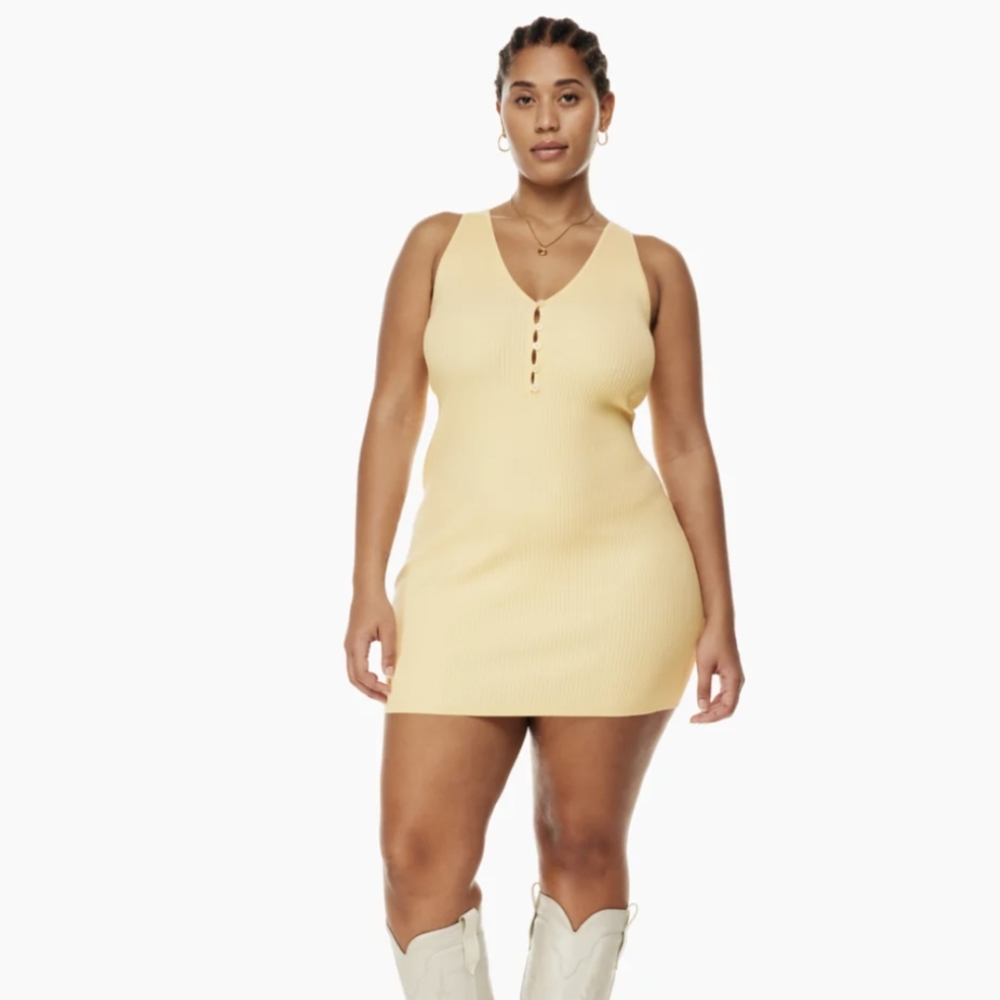 Aritzia Wilfred Affinity Dress